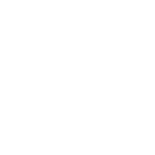 Logo weiß Schuhmeile-06