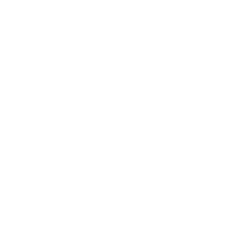 Logo weiß Schuhmeile-12