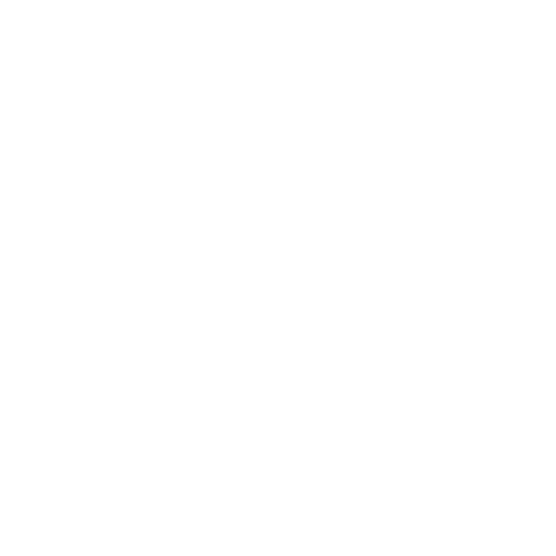 Logo weiß Schuhmeile-13