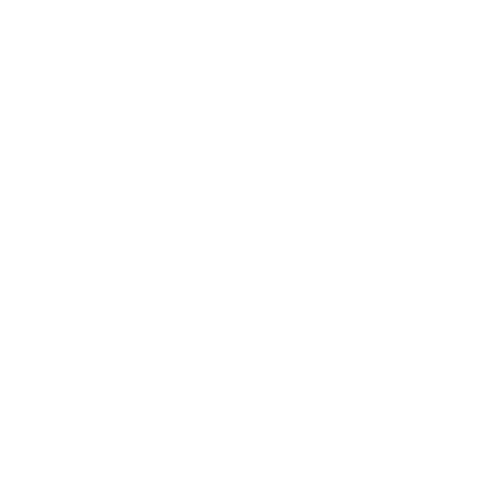 Logo weiß Schuhmeile-21