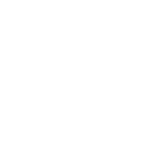 Logo weiß Schuhmeile-26